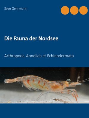 cover image of Arthropoda, Annelida et Echinodermata